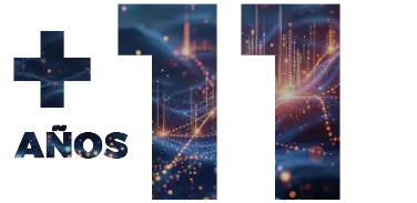 experiencia en prestar servicios de IT (tecnología de la información) en Guatemala