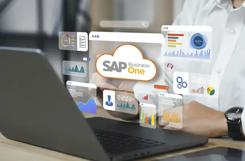servicios de Consultoría Sap Business One